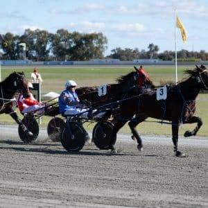 horses for slider